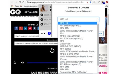 Video DownloadHelper 9.1.0.42 Free Download.